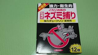 イカリ消毒のネズミ捕り【強力チュークリン】業務用で最強のハエ取り紙になるのか！？　検証　IKARI 【STRONG CHU Crean】Verification　防虫対策　虫除け　虫よけ　庭　畑