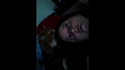Kitty in my hair