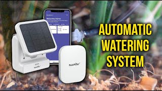 RainPoint Solar Irrigation System! Automatic Watering System for House Plants! by Tobias Holenstein 384 views 4 months ago 10 minutes, 22 seconds
