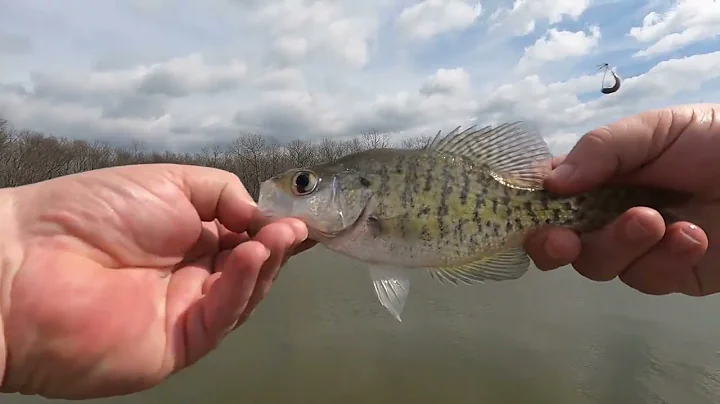crappie fishing pre spawn
