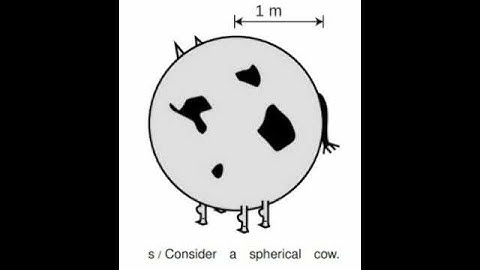 spherical cow