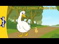 Jemima puddleduck full story  24 min  bedtime stories  peter rabbit l little fox