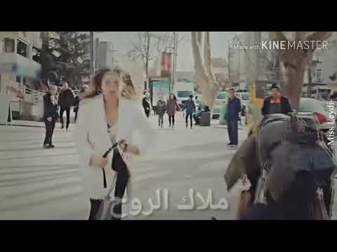 حالي كان وانا مش معاه اليسا