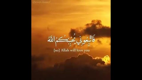 آيات منجيات من القرآن الكريم 🌷 حالات واتس اب دينية قصيرة مؤثرة قرآن كريم تلاوة خاشعة