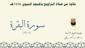 مرئي من محراب المسجد النبوي | سورة البقرة (1-66) - تراويح 1445هـ | الشيخ أ.د محمد برهجي