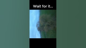 Into the Tree #shortsfeed #shorts #shortsviral #fail #failarmy #trees #fpvdrone #fpvfreestyle #5inch