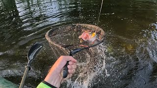: Afterwork Fishing.   3    . 03.06.2023