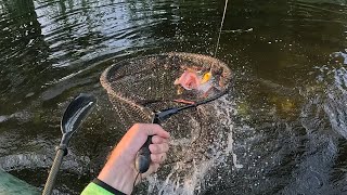 Afterwork Fishing. Щука на 3 кг и другие приклёчения. 03.06.2023