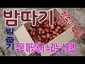 밤따기 - 전원주택 마당에서 누리는 소소한 즐거움