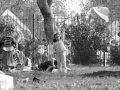 Manuel Garcia- Pañueli- Septiembre en el parque O'higgins de Santiago Chile