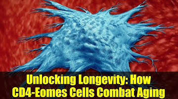 Unlocking Longevity: How CD4-Eomes Cells Combat Aging