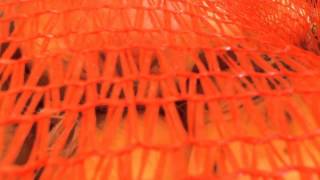 Chausée De Gand Ah 2012 08 11 H 264 Oignon