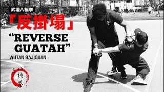 武壇八極拳「反掛塌」 WuTan Bajiquan “Reverse GuaTah”