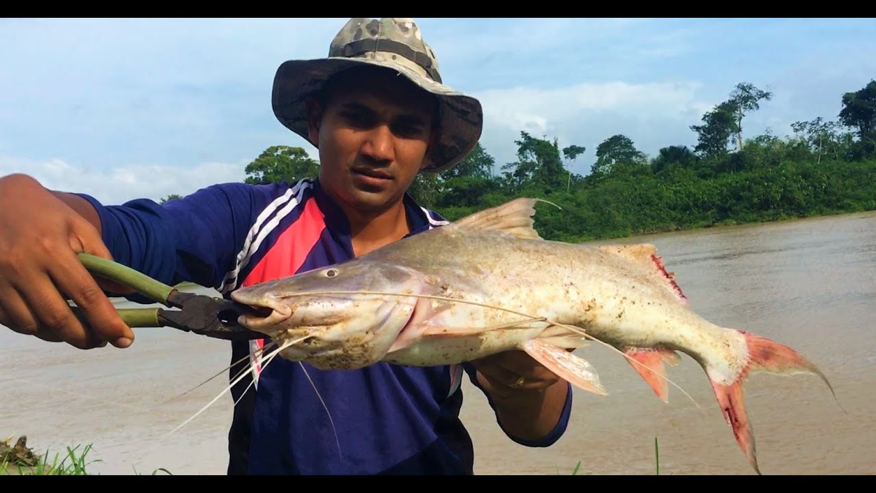 Fishing for Catfish with chicken guts (Catch, Clean and Cook) YouTube
