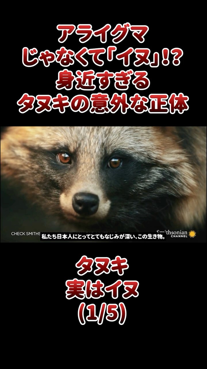 たぬきいぬはは ごめん爆笑した」「完全に一致」 友人から「信楽焼のたぬき」といわれ