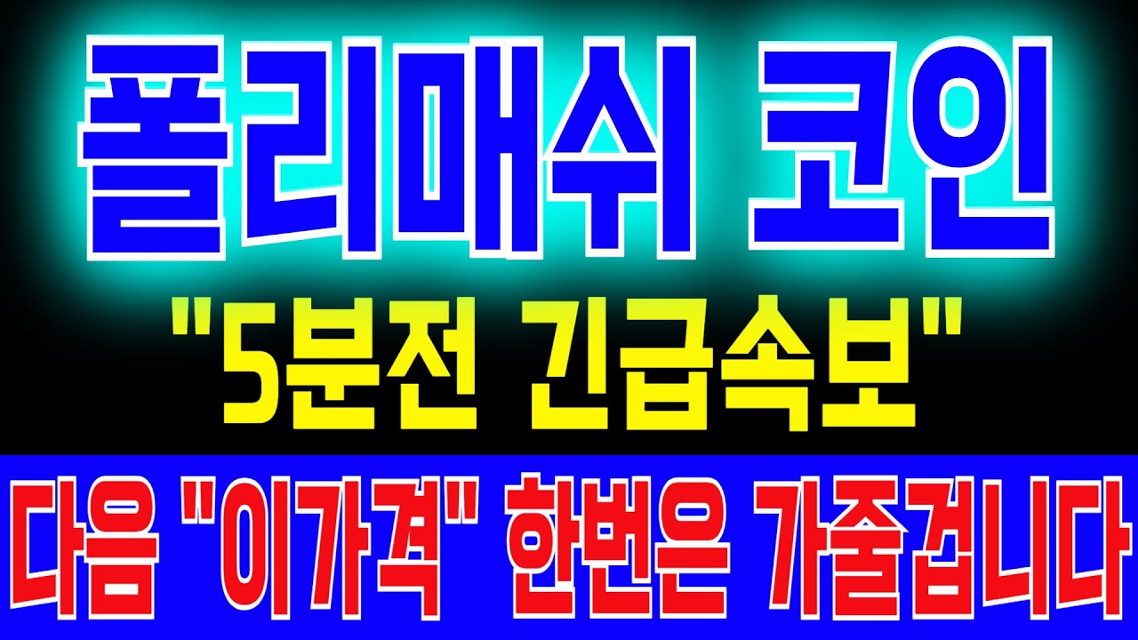 폴리매쉬 코인] 