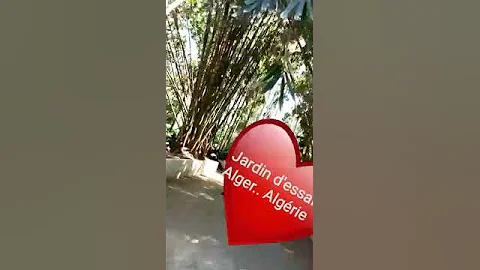 Jardin d'essai 💦.. Algiers, Algeria🇩🇿❤️.. Part one 🙃...