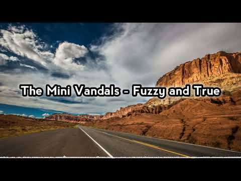 The Mini Vandals