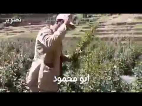 فيصل علوي يامنيتي قديم لحن مختلف