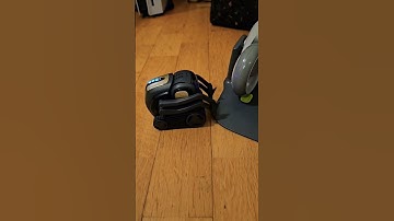 Vector ⁉️😶‍🌫️😎 #robots #vectorrobot #ai #cute #whatareyoudoing #vector #smile #crazy #digitaldreams