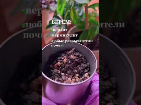 Как спасти залитый