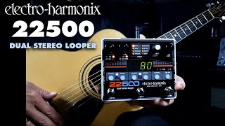 Electro-Harmonix 22500 Dual Stereo Looper Pedal (Demo by Bill Ruppert)