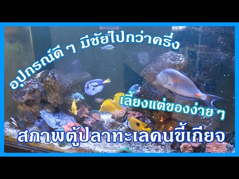 ตู้ปลาทะเลแบบฉบับคนขี้เกียจ เลี้ยงของง่ายๆ ใช้อุปกรณ์ดีๆไฮโซๆ 555