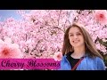 CHERRY BLOSSOMS & STREET FOOD | Tokyo, Japan