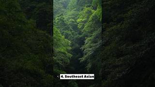 Top 10 Largest Jungles In The World 2025