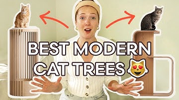 TOP 3 MODERN CAT TREES | Ultimate Guide