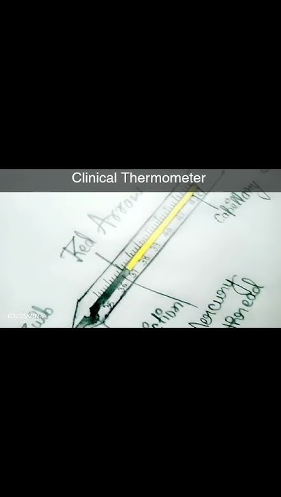Clinical Thermometer Diagram thermometer Class 7 YouTube clinical-thermometer-diagram-thermometer-class-7-youtube
