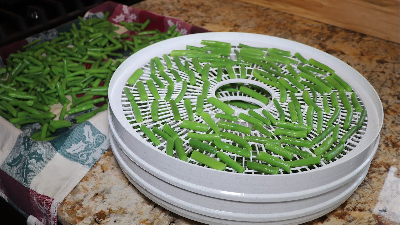Dehydrating Green Beans YouTube