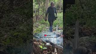 Roasting Breadfruit: Mens Fire Challenge! 🔥 #shorts