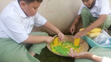 Thumbnail of Membuat Tempe dari Jagung. Emang Bisa⁉️ 🤔