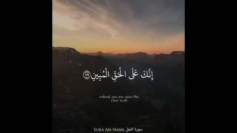 حالات واتساب دينية || القارئ هزاع البلوشي || تلاوة عطرة