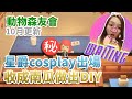 [動物森友會][10月更新#2] 星爵cosplay出場 收成南瓜🎃做出DIY｜ 萬聖節系列 任天堂 Nintendo Switch game 廣東話 聲音導航 By Waiting