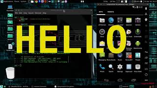 Inject metasploitp payloads into android apps Net Worth