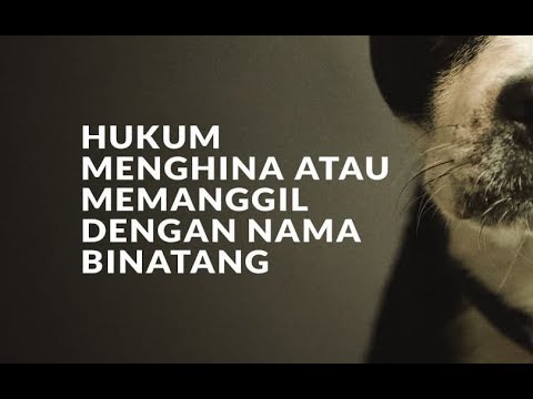 Video: Mengapa Anda Tidak Boleh Memanggil Haiwan Dengan Nama Manusia