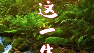 Download Lagu WO ZHE YI SHENG - 我这一生 MP3