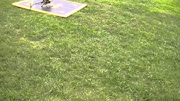 helidayz skytech on the trex 500 kbar hands free hover rc helicopter