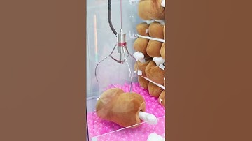 GIANT MEAT!! In the Claw Machine at Round 1! 🍖