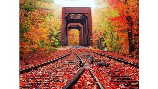 Beautiful Nature Healing Video ! Watch It Fast