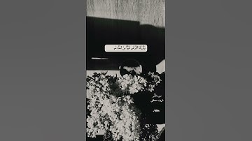 تلاوة جميلة من القارئ : شريف مصطفى | سورة الزمر 🌹♥️