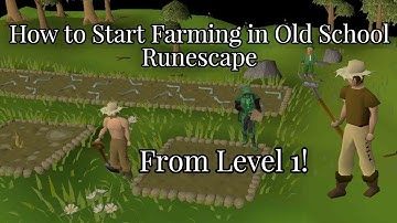 How to Start Farming In Old School Runescape (Guide for New Players)