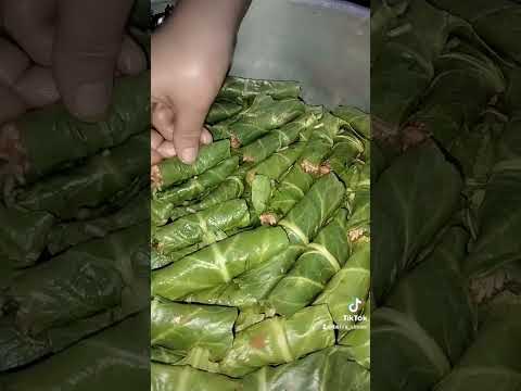 ابراهيم تاتلس الدول العراق السعودية الخليج مصر مغربية