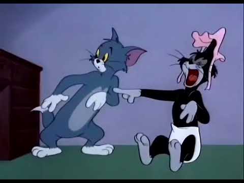 توم وجيري حلقة القط الاسود والرضيع