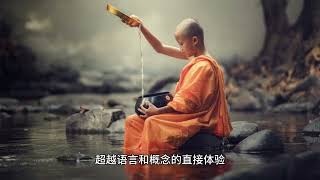中国禅宗 3 禅宗独特的思想