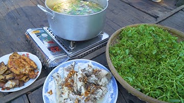 Cháo Cá Lóc Rau Đắng Đất, Nhậu "Lai Rai" trên Sông Nước Miền Tây | Nét Quê #178