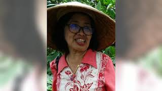 De Plantagetour Kalibaru - Oost Java Updated