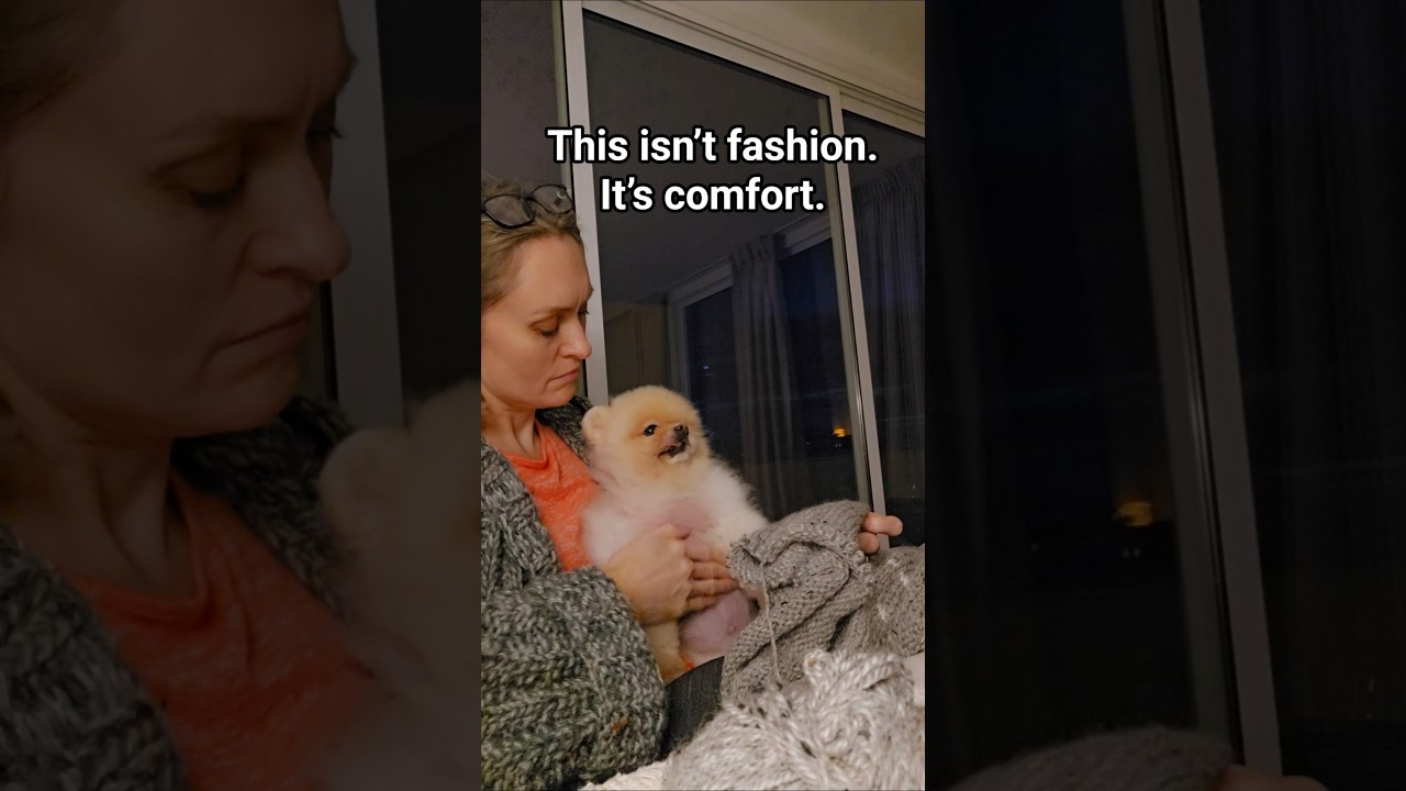 Older dogs need warmth, not trends 